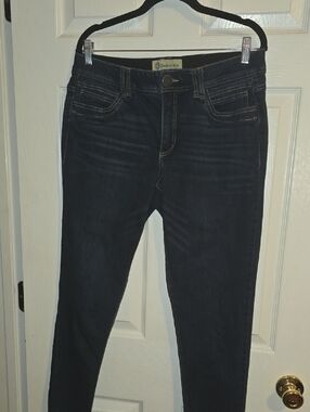 Democracy Skinny Jeans in Dark Blue Wash